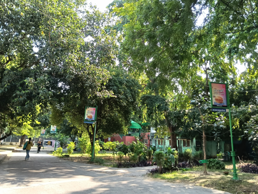 IP College for Women Campus photo 14